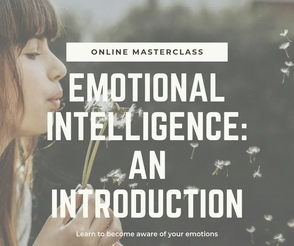 EMOTIONAL INTELLIGENCE AN INTRODUCTION