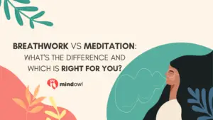 Breathwork vs Meditation
