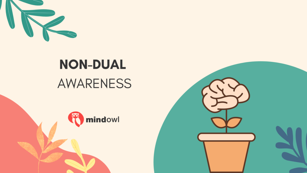 what-is-non-dual-awareness-mindowl