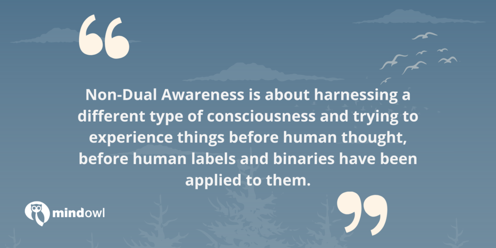 non-dual awareness