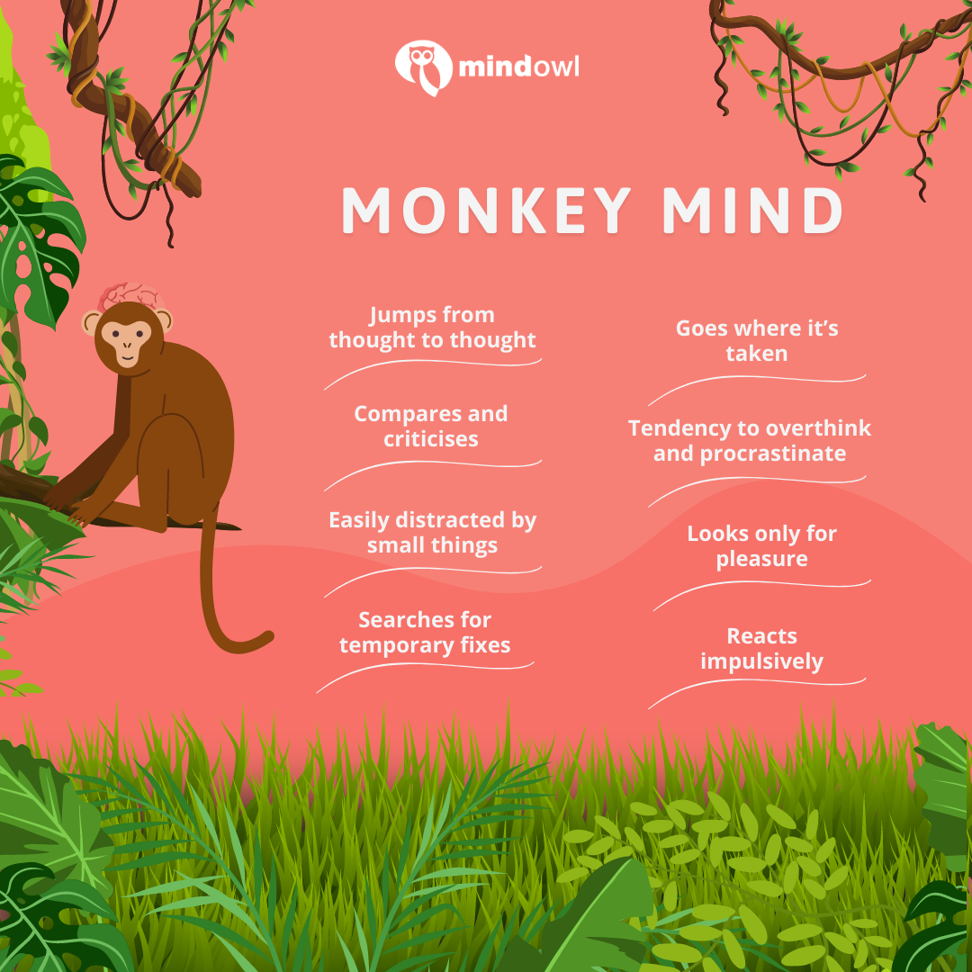 How To Train Your Monkey Mind Mindowl