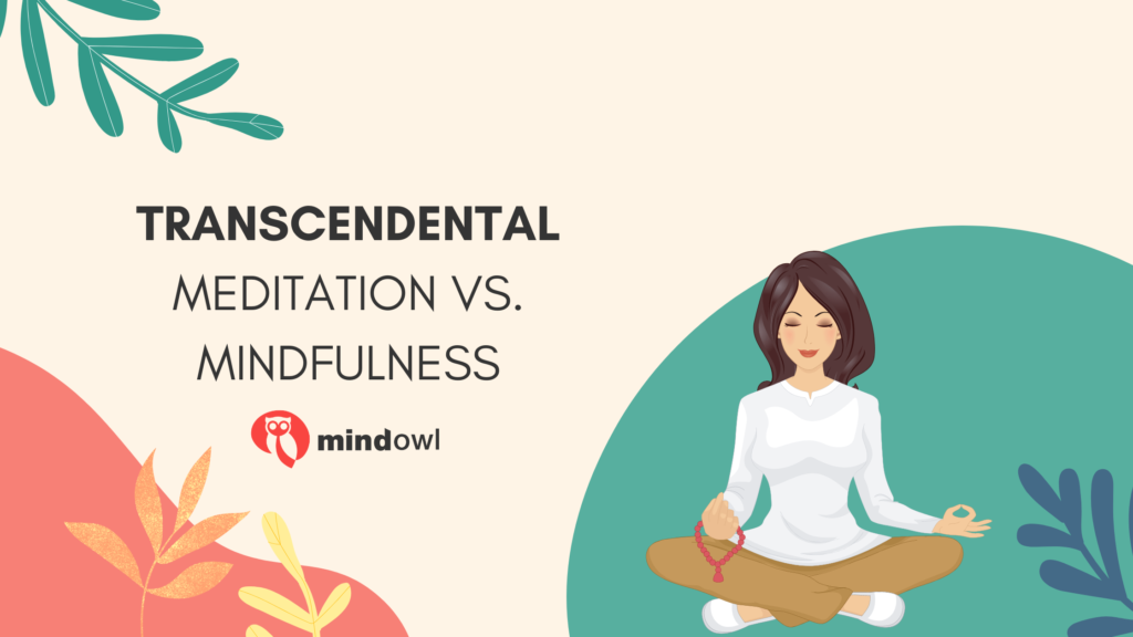 Transcendental Meditation Vs Mindfulness - MindOwl