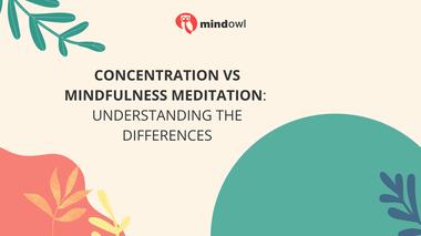 Concentration and mindfulness