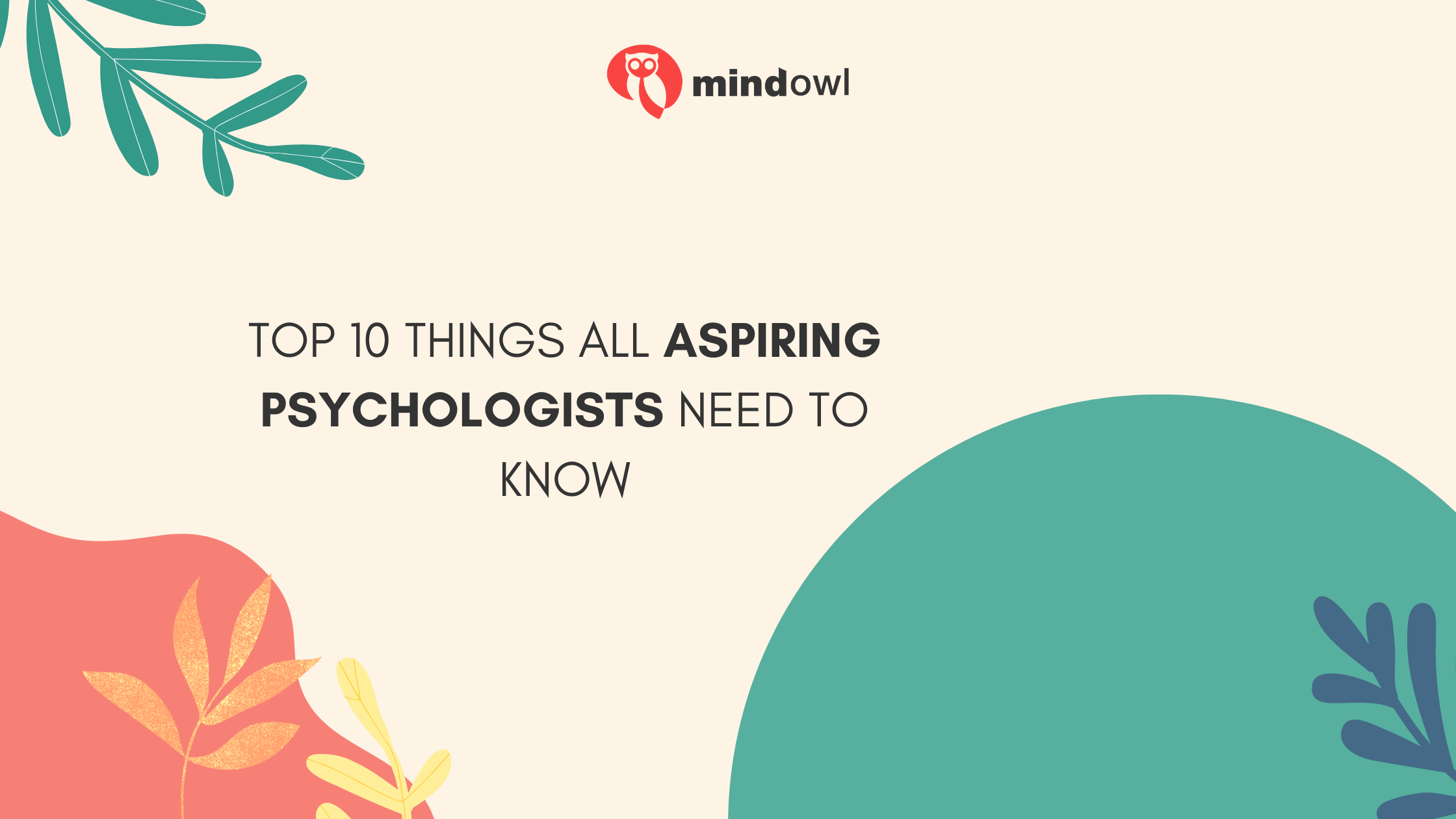 Top 10 Things All Aspiring Psychologists Need to Know