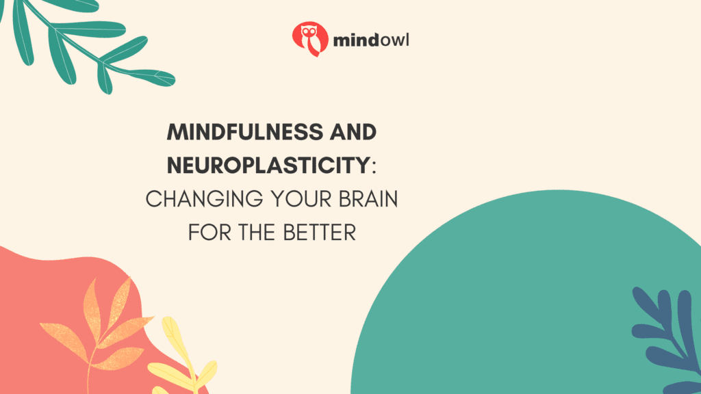 Mindfulness And Neuroplasticity: Changing Your Brain For The Better ...