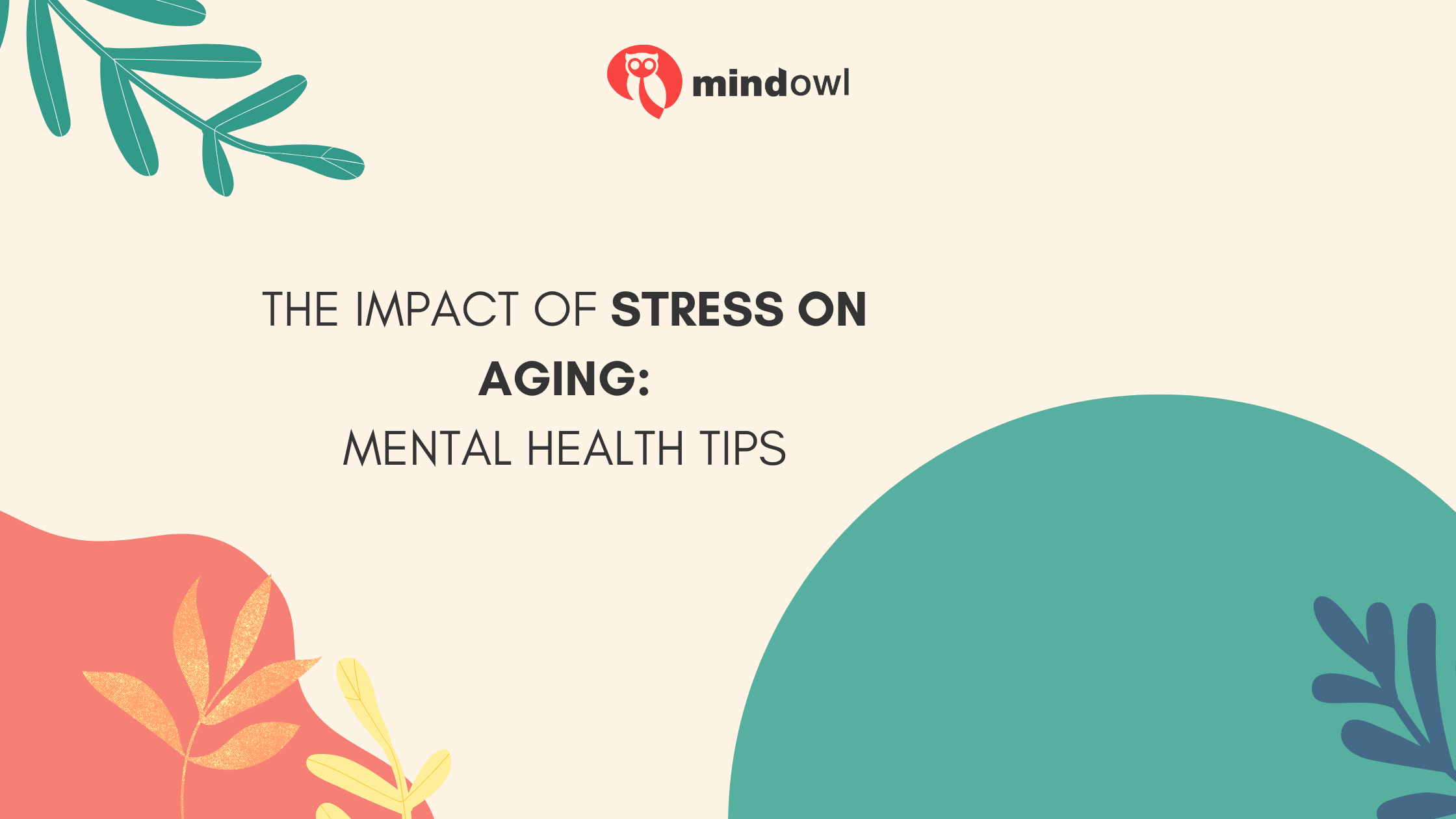The Impact of Stress on Aging: Mental Health Tips