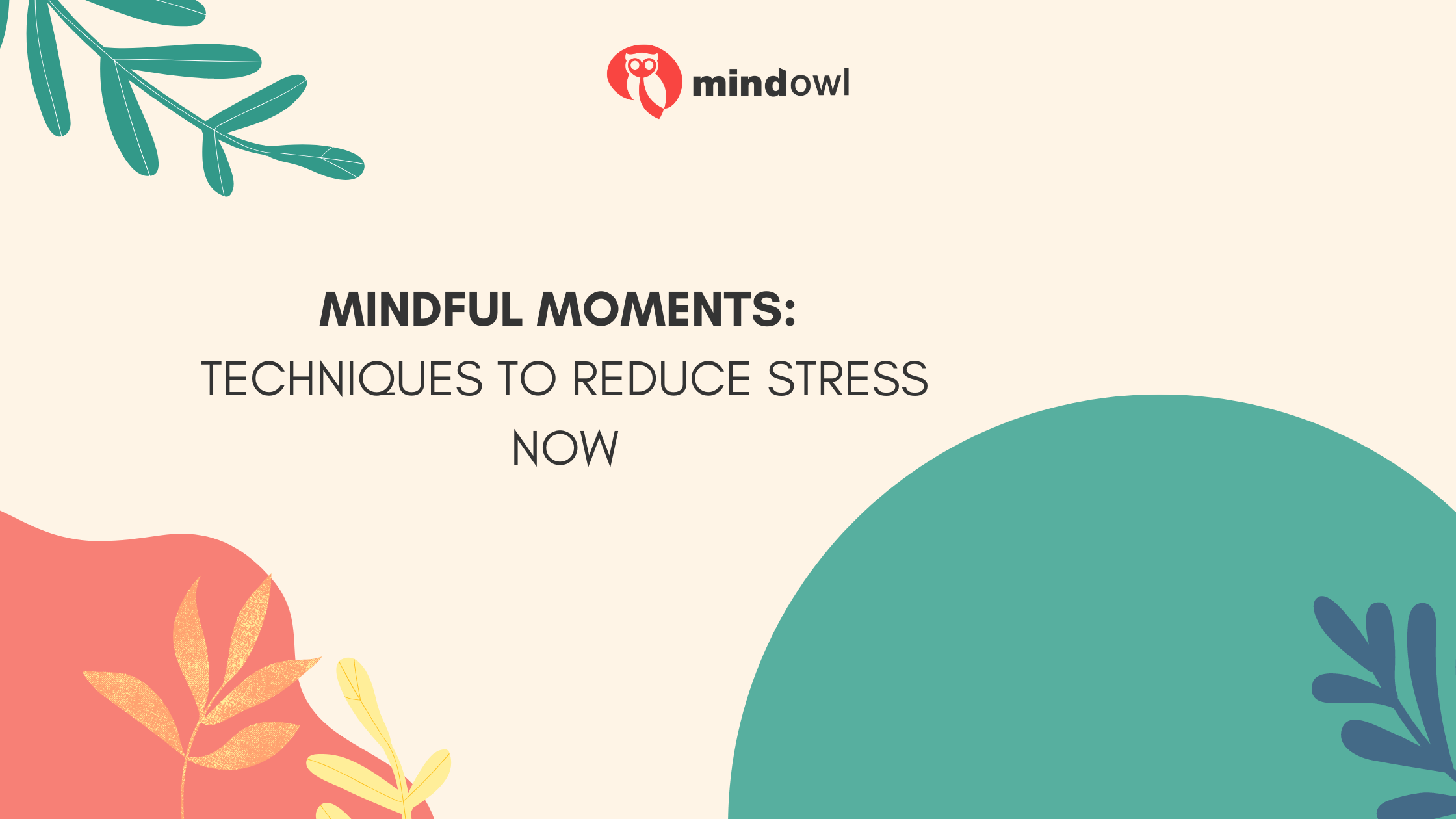 Mindful Moments: Techniques to Reduce Stress Now