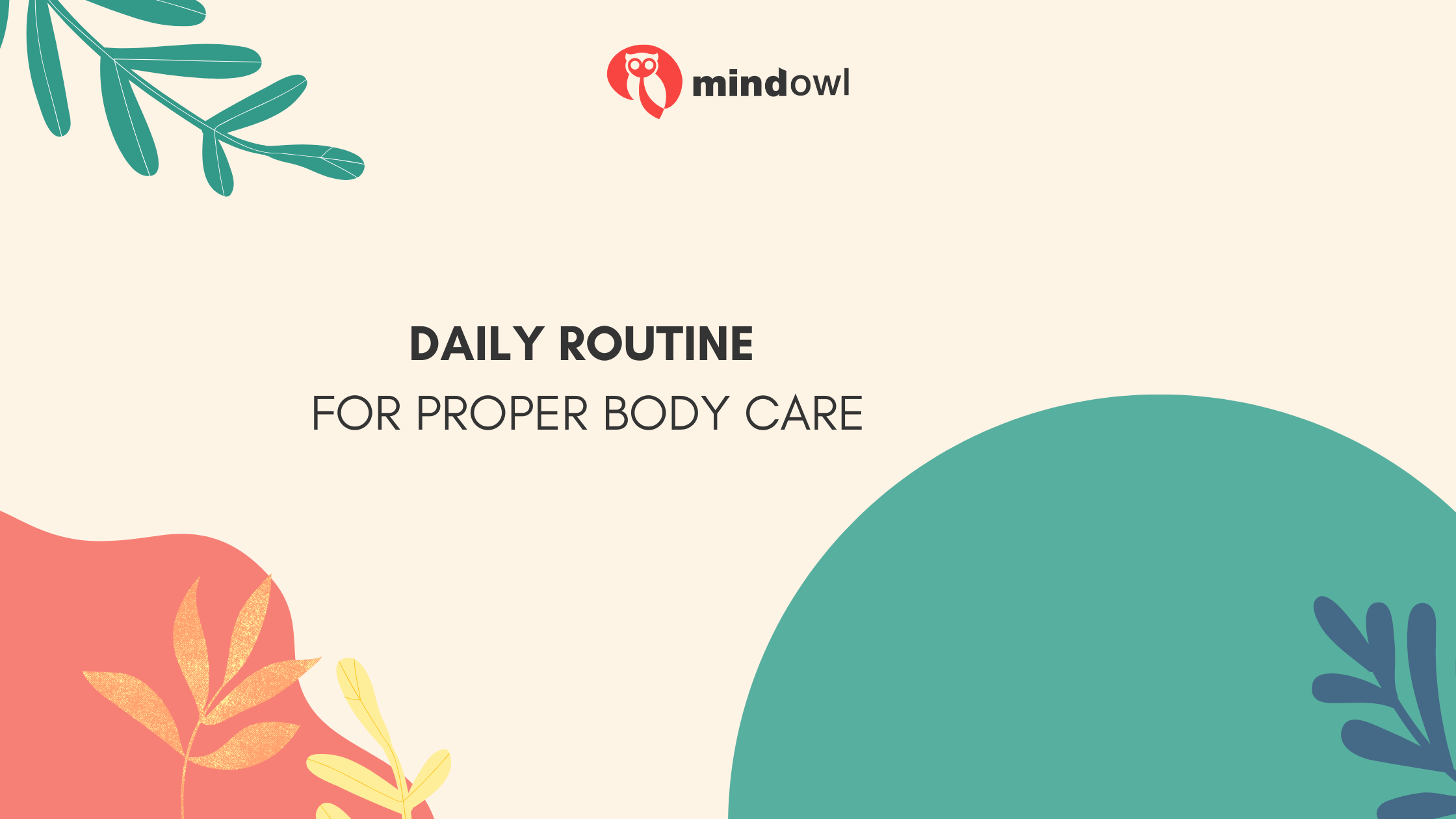 Daily Routine for Proper Body Care