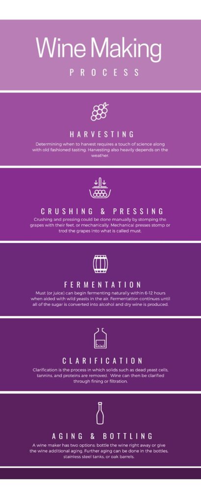 Mindful Living: The Surprising Benefits Of Balanced Lifestyle Choices ...
