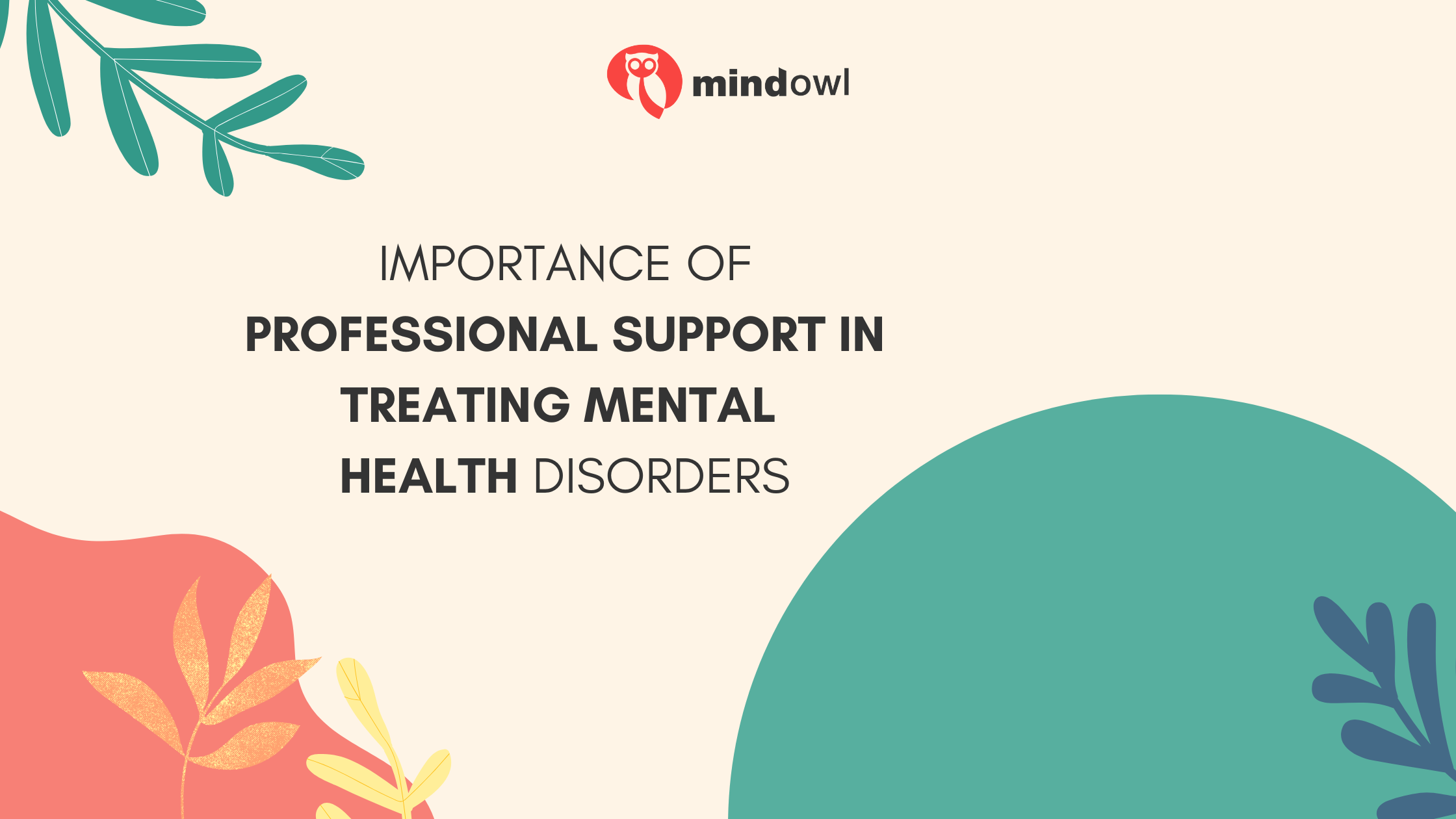 Importance of Professional Support in Treating Mental Health Disorders