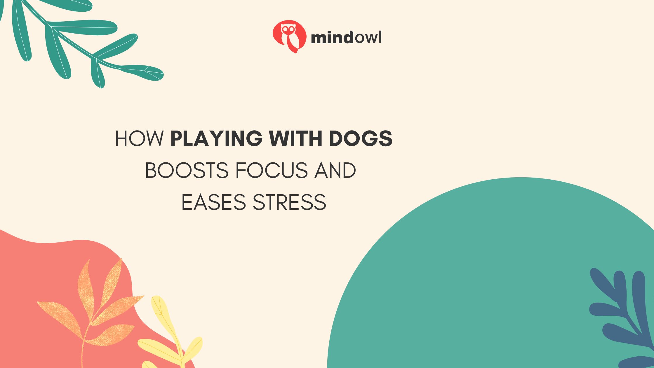 How Playing With Dogs Boosts Focus and Eases Stress: New Brain Scan Insights