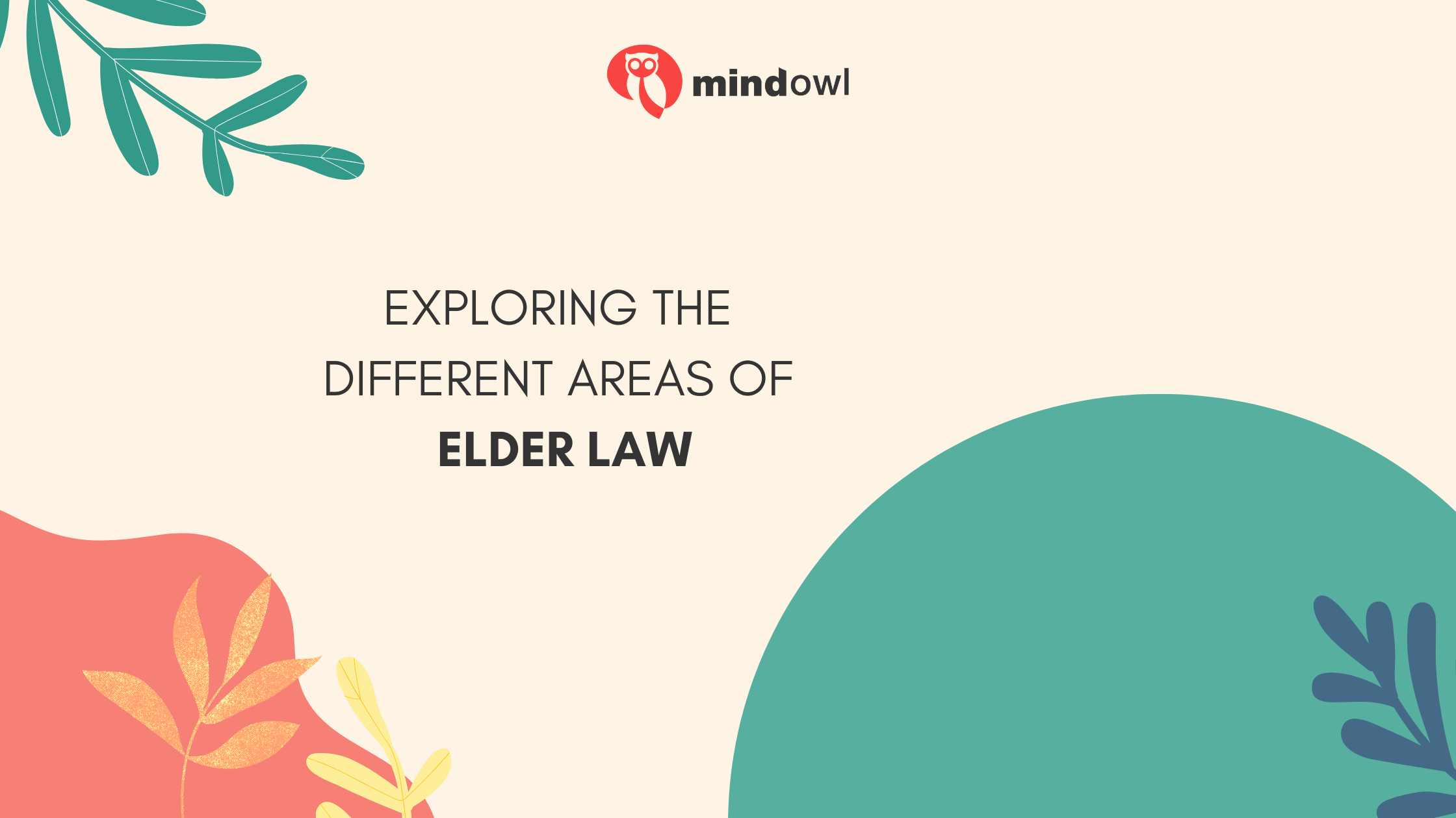 Exploring the Different Areas of Elder Law