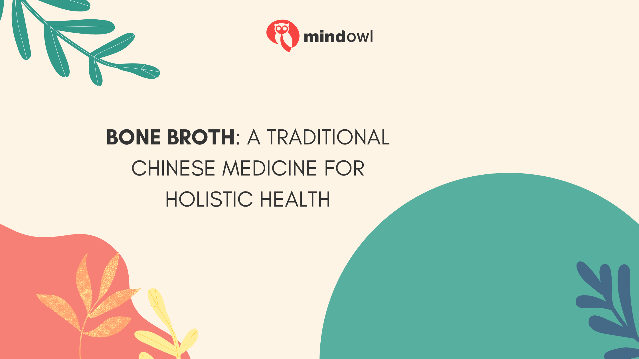 Bone Broth: A Traditional Chinese Medicine for Holistic Health