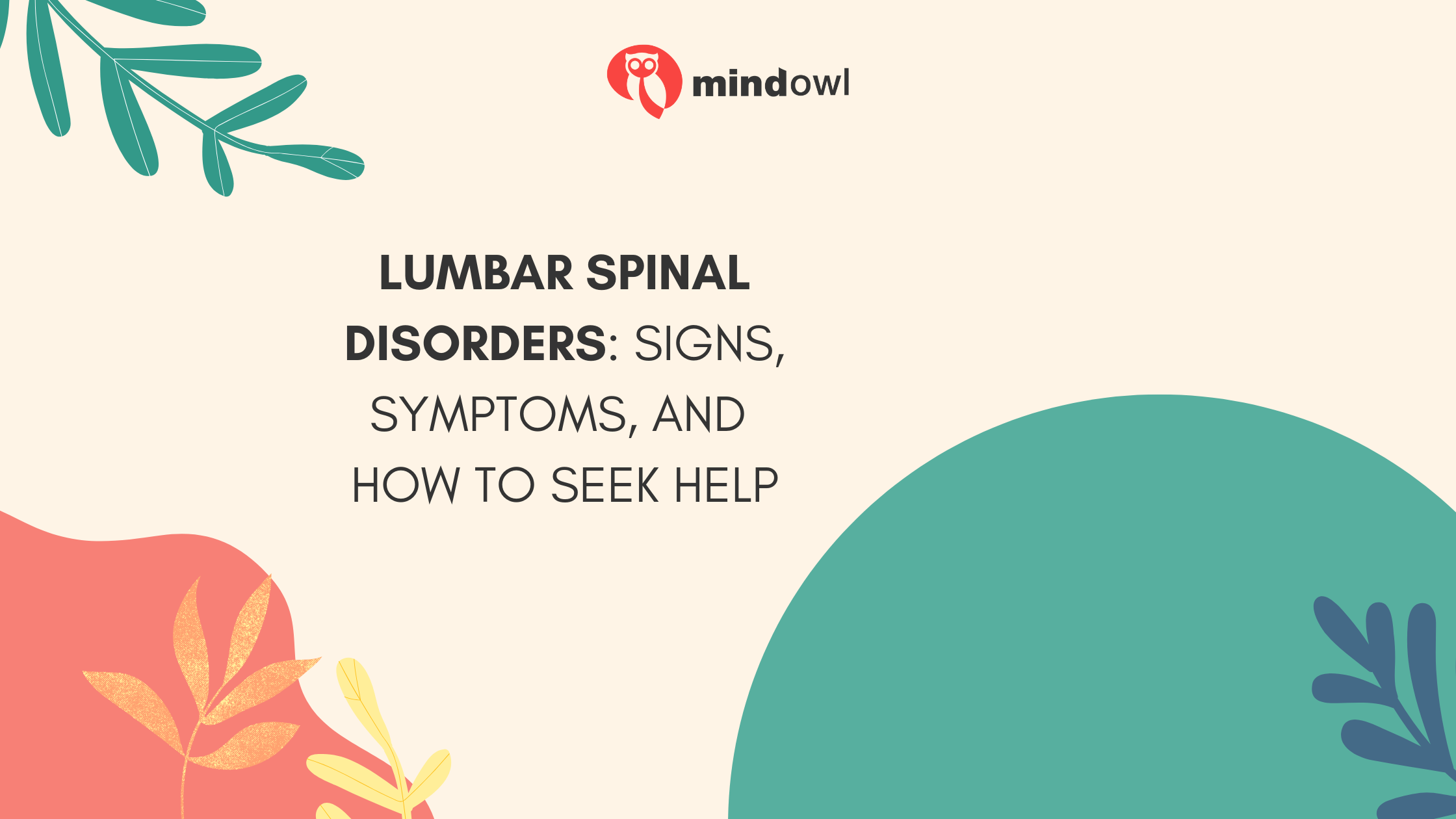 Lumbar Spinal Disorders: Signs, Symptoms, And How To Seek Help