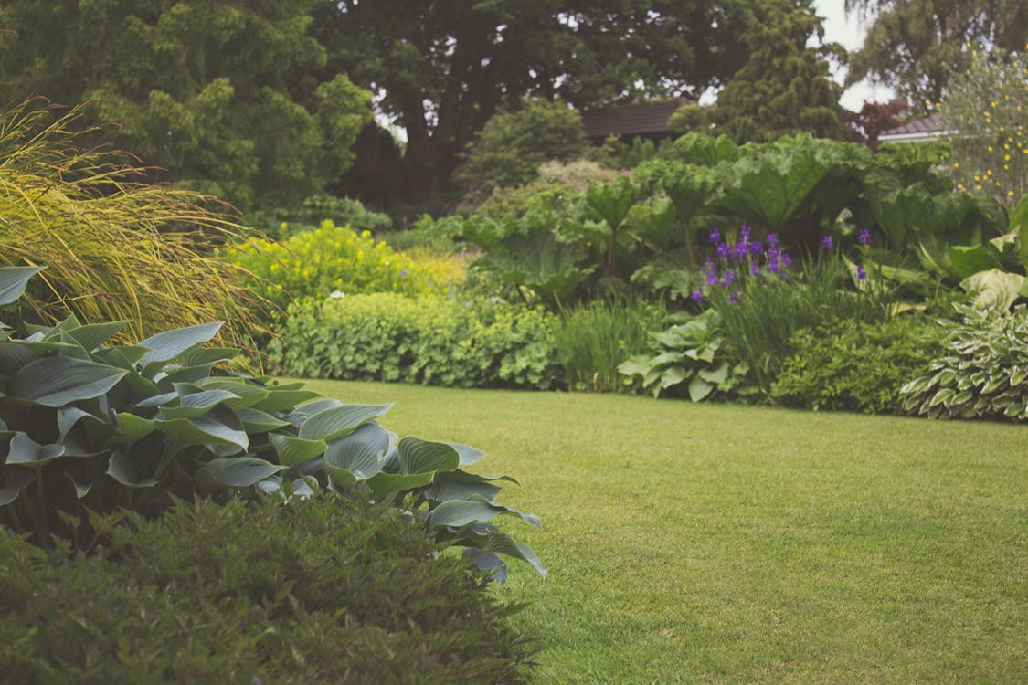 Gardening for Mental Health: How Professional Gardeners Can Help You Thrive 2