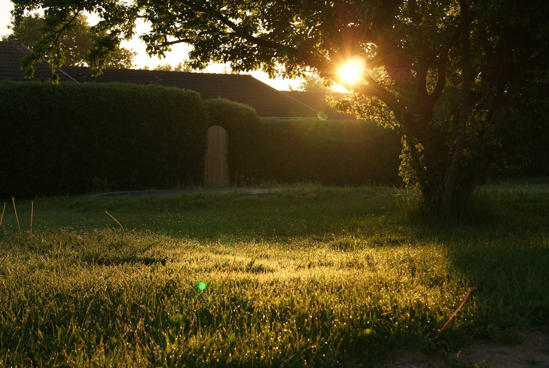 Gardening for Mental Health: How Professional Gardeners Can Help You Thrive 3 AD 4nXf5C kX5m1VIBPmCefQxRr3 iQKo8ouJXgDTF87uFaUPXzi5A8a23Sb oKZdan6vK1E4RkJ ASNmABk