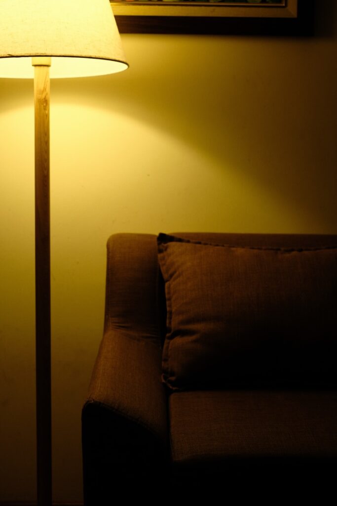 Understanding The Minds Of Jung And Freud: Differences And Similarities 3 a living room with a couch and a lamp