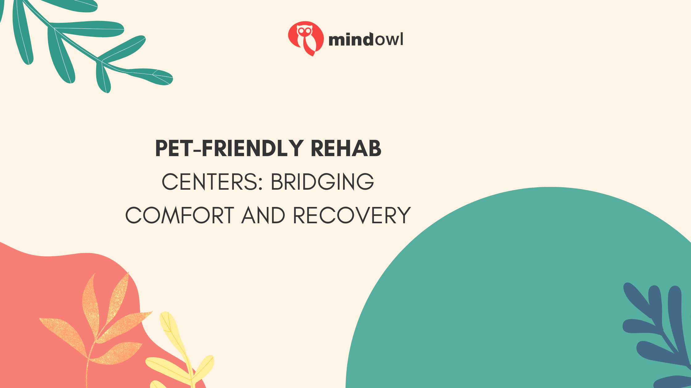Pet-Friendly Rehab Centers: Bridging Comfort and Recovery