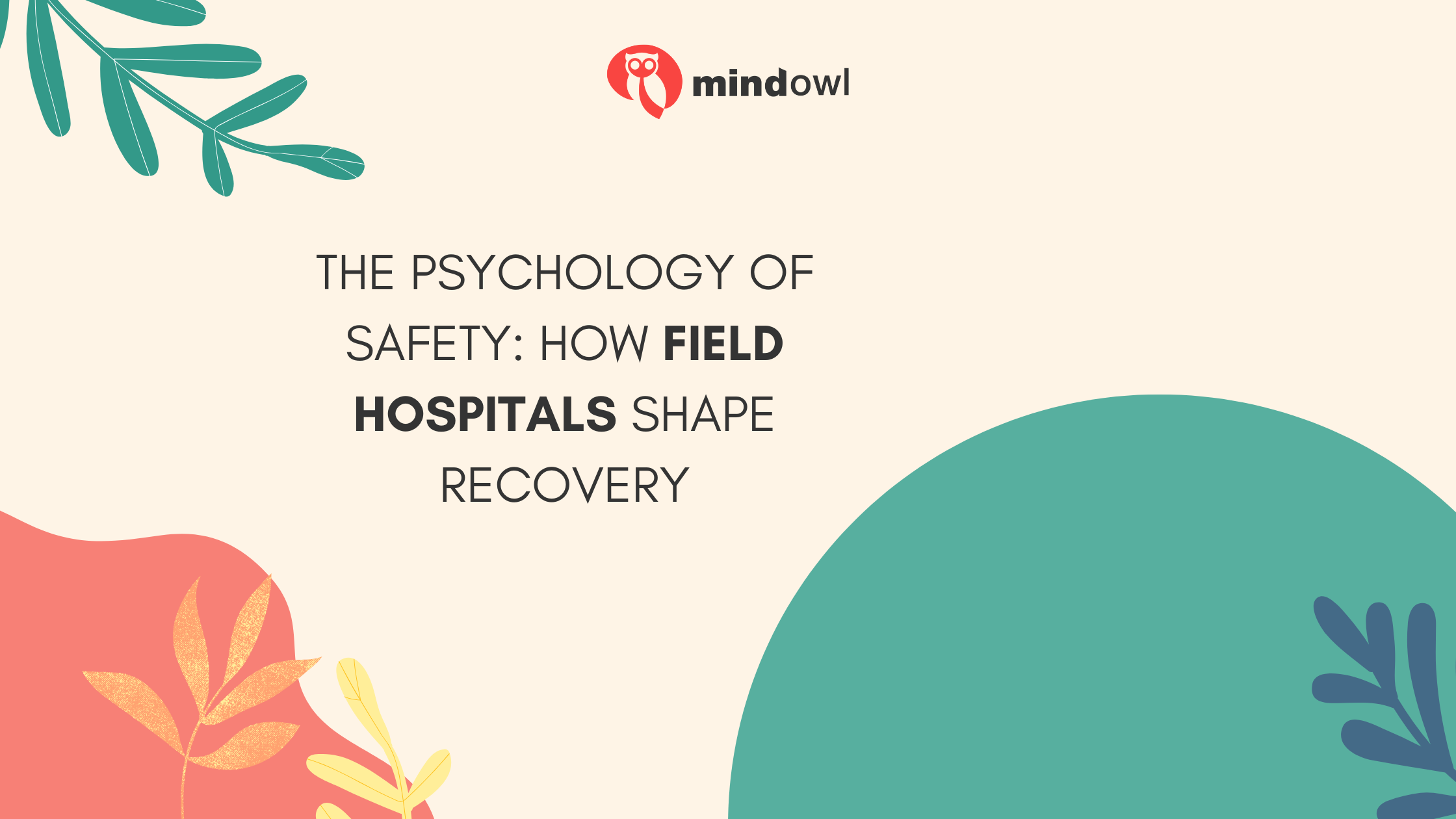 The Psychology of Safety: How Field Hospitals Shape Recovery